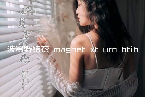 波多野结衣 magnet xt urn btih